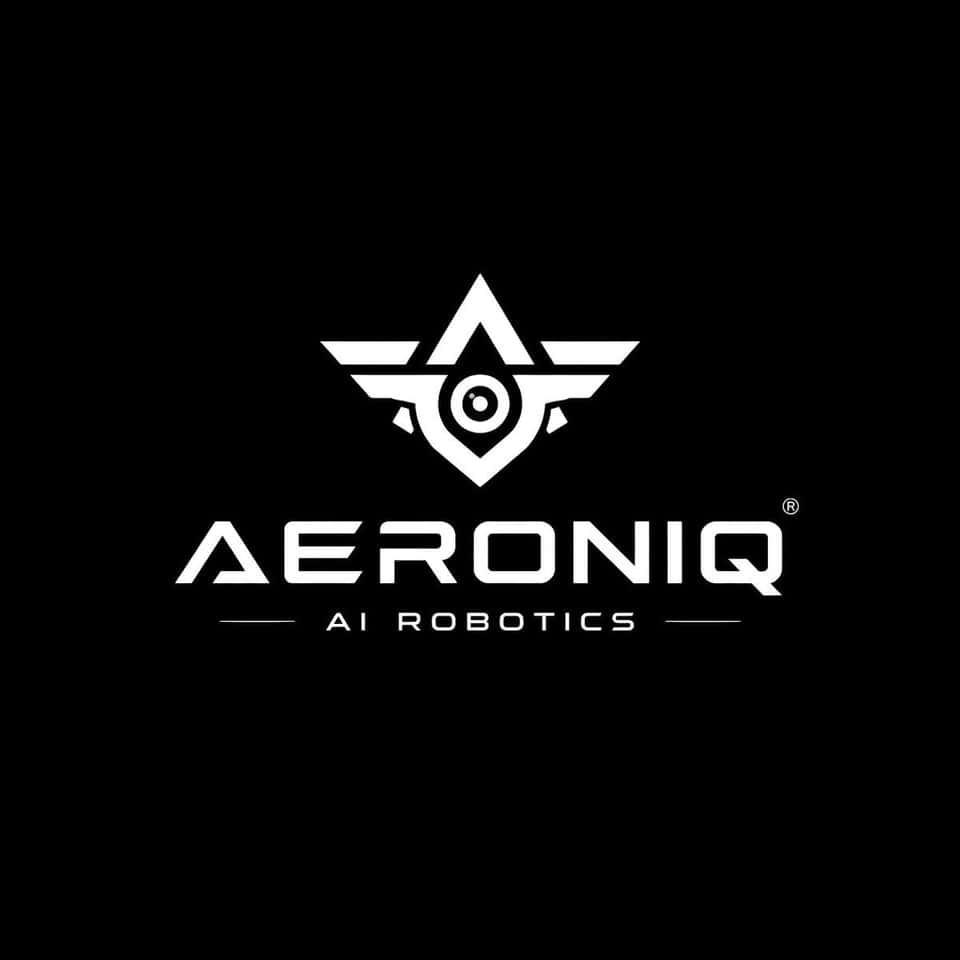 Minimalist Black White Logo Presentation